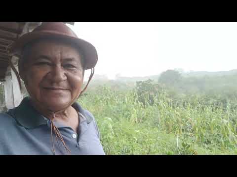 Chuva No Sertão Do Ceará Martinopole Humor 