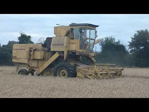 New holland ,Clayson,1530 from 1975 cutting corn in 2020