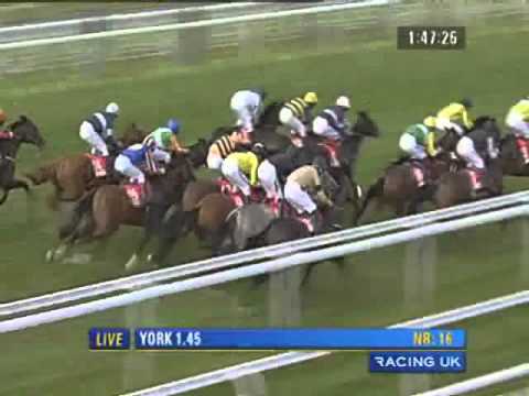 York 2010 - DBS Premier Yearling Stakes