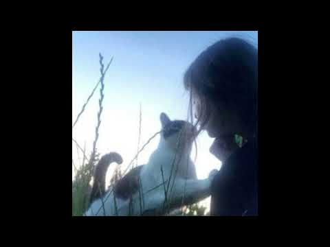 [FREE] alternative rock x indie x shoegaze type beat - "need"