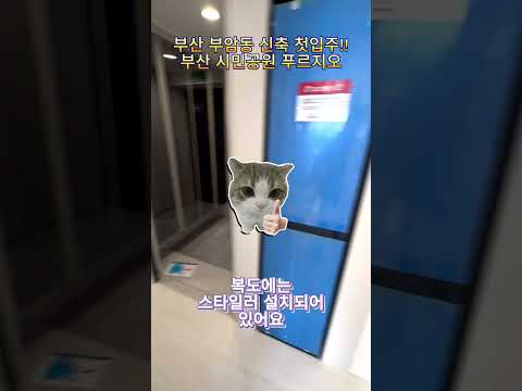 유튜브 쇼츠 썸네일