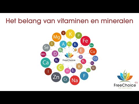 Het belang van vitaminen en mineralen