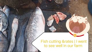 Fish cutting &rates|I went to see well in our farm