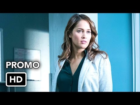 Rosewood 2.13 (Preview)