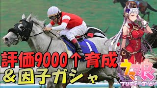 【ウマ娘】評価9000超えゴルシを目指す枠