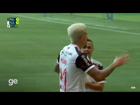 P4LM31R4S 1x3 FL4M3NG0 - BR4S1L31R40 2021