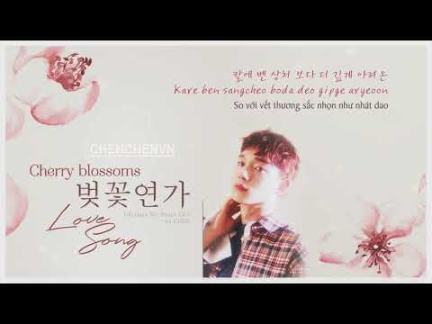 VIETSUB + KARA | Cherry Blossom Love Song (벚꽃연가) | CHEN