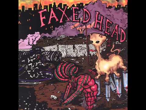 Faxed Head - Wyoming Hair