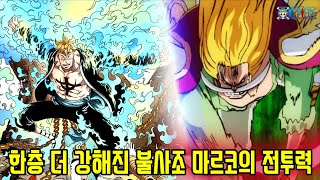 [원피스]로저해적단 해군대장을 상대했던 불사조 마르코 최신 전투력 근황!!