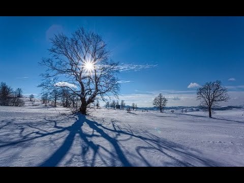 Agro karavan ep. 62 Specijal 27.01.2019. NAJAVA