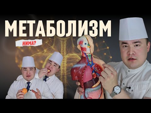 МЕТОБАЛИЗМ НИМА? ҚИЗИҚАРЛИ  ЖАВОБЛАР ИСЧАНОВДАН!