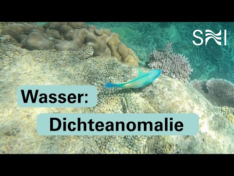 WATER – REMARKABLE PROPERTIES