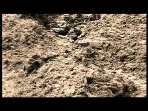 pourquoi la guerre de 1914