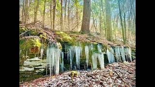 The Good Life - 6+ Choice Acres Margaretville NY Delaware County, Electric, Gd road, Mt. views