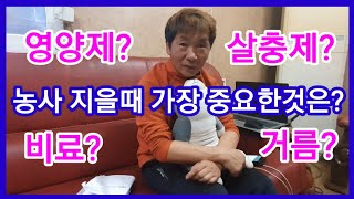 농사짖기전 가장 중요한것은? 비료,거름주는 가장 좋은시기 귀농귀촌 농사