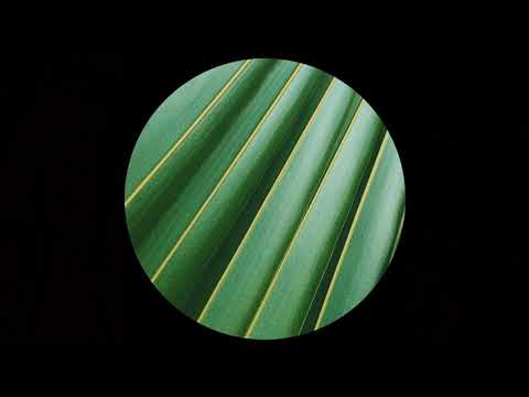 Sakdat & Anaid - Nenorocirea sufletului V2