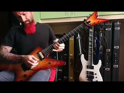 Pantera - Mouth for war guitar solo with my handmade Dime
