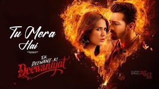 ✨ Deewaniyat | Official Song 2025 | New Hindi Romantic Song | Love Track ✨