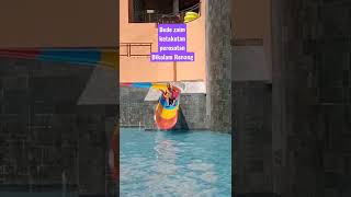 Download lagu Berenang di Talaga langit kang Ujang Busthomi cirebon mp3