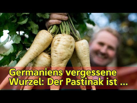 Ein Tumor in der Prostata Symptome bei Männern Wund Prostata gibt Niere