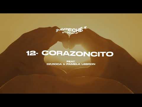 12. Kanelo Pro - Corazoncito ❌ Pamela Lebron,  Dr.Roca