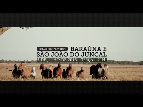 VT Leilão Baraúna e São João do Juncal - Junho 2016 - Produção Agência El Campo