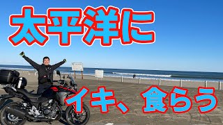 久しぶりにエンジンの音を聞いたらイキかけました【Vストローム250】