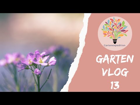 Wiesen-Upgrade & Stauden-Power: Warum der Herbst die wichtigste Pflanzzeit ist