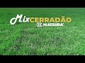 Semente Mix Cerradão (mg13 Braúna+mg4+ Marandu) 20kg Matsuda