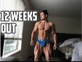 Matt Ogus 12 Weeks Out Physique Update (2016)