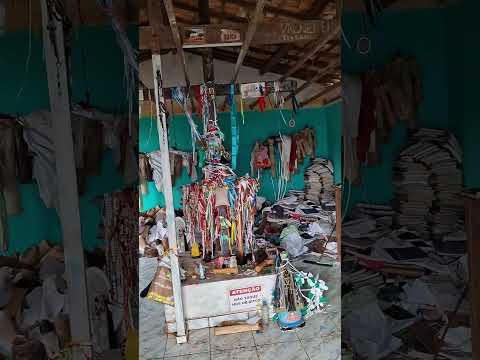 ponta da serra adustina Bahia #enterior #roça #registrodevida #shorts