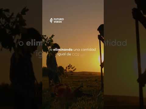 Carbono Neutro VS Carbono Neutral