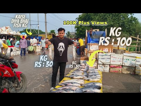 Guwahati Hatigaon Ka Sabse Bada😱 Wholesale Fish Market ||wholesale fish Market in Guwahati Hatigaon