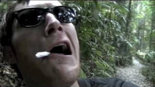 Regular John - Kisschasy Tour / One Movement Festival