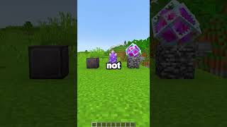 whats the RAREST item in minecraft?