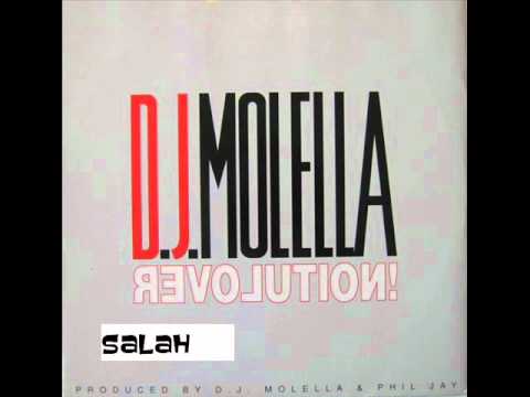 Molella feat Rihanna  S&M Revolution