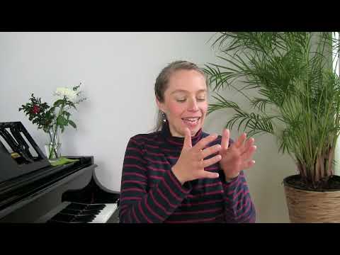 61. STIMMSINN - Der Seehund