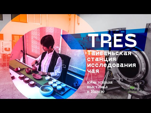Стоит ли посещать чайные выставки? Выставка TRES в Яньмэе, Тайвань.