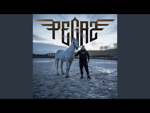 Pegaz
