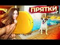 ЭКСТРЕМАЛЬНЫЕ ПРЯТКИ С СОБАКОЙ НА ВИЛЛЕ - Прятки 5 - Кипр | Elli Di Pets