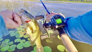 This NEW Rod and Reel Catches Fish! - Finesse Fishing!