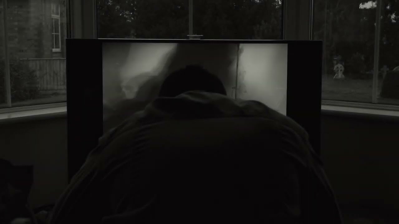 'PIGS' TRAILER