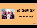 Spice, Sean Paul, Shaggy - Go Down Deh ( lyrics ) - tiktok hits