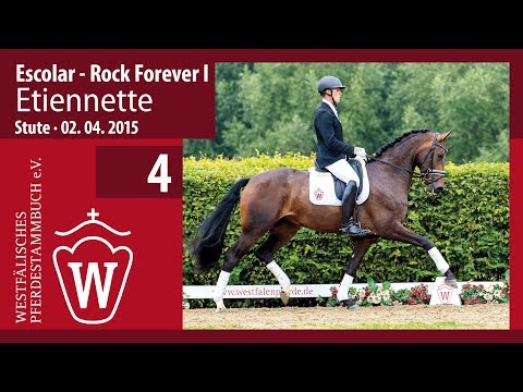 04 Etiennette Stute v. Escolar - Rock Forever I