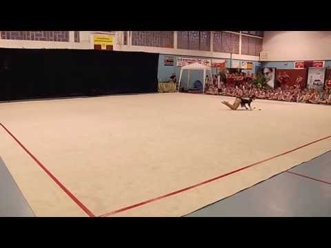 Gala 2015 - Ema - Individuelle Cadette