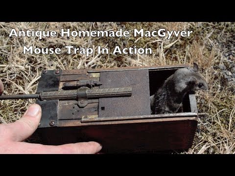 Antique MacGyver Mouse Trap In Action with Motion Cameras. *Honey Bee Hunting Trap* Video