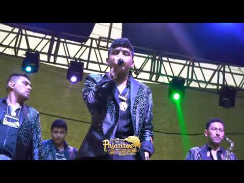 La ingenua Banda Pajaritos De Tacupa Michoacan