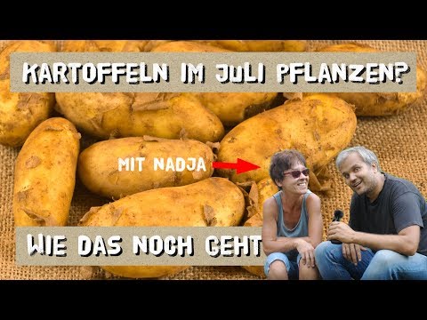, title : 'Kartoffeln nochmal im Juli pflanzen - mit Nadja (Neues vom Landei)'