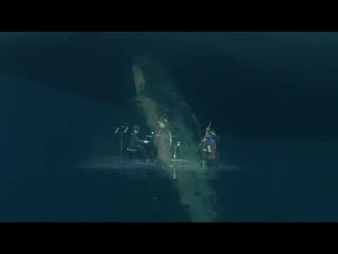 Sea Nocturne (... for the end of time) - from Vox Balaenae, by G. Crumb