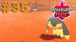 #35【ポケモンソード・シールド】ワクワクが止まらない！コンプリートを目指せ！『まずは、シールドをPLAY』【ふんわり実況】